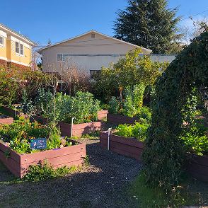 Garden Science