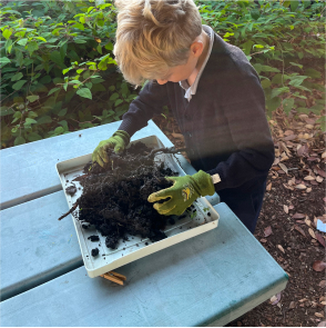 Garden Science
