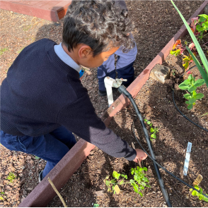 Garden Science