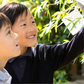Garden Science